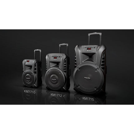 Krüger & Matz KM1715 professionele mobiele luidspreker party speaker box (met 2 UHF draadloze microfoons, SD, Bluetooth, FM, USB) 60 Watt zwart