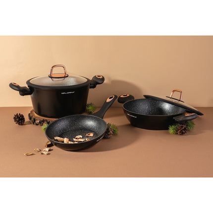 Florina Rosé Limited Edition kookpan / braadpan met deksel 2,5L 24cm zwart / rosé goud